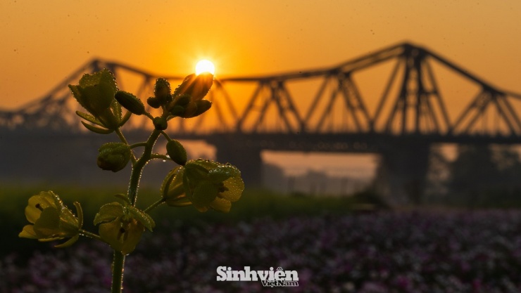 Bất chấp cái lạnh, giới trẻ Hà Nội dậy sớm 'săn' khoảnh khắc vàng bên chân cầu Long Biên - 10