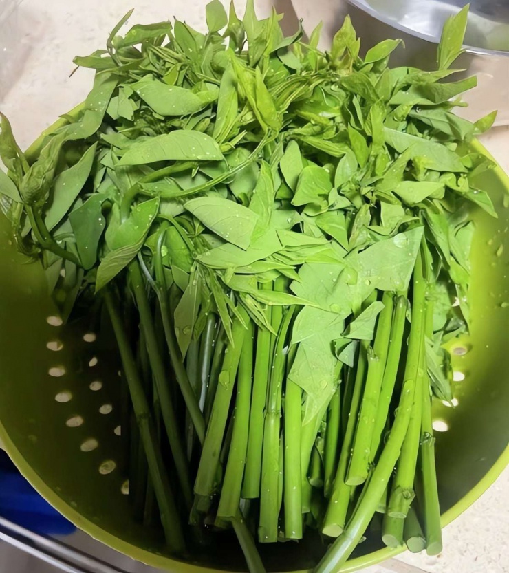 Loại rau dân dã, tươi ngon, giòn tan, ăn vào mùa đông giúp, giải độc gan, hỗ trợ giấc ngủ, bảo vệ mắt 5 Loại rau dân dã, tươi ngon, giòn tan, ăn vào mùa đông giúp, giải độc gan, hỗ trợ giấc ngủ, bảo vệ mắt - 4