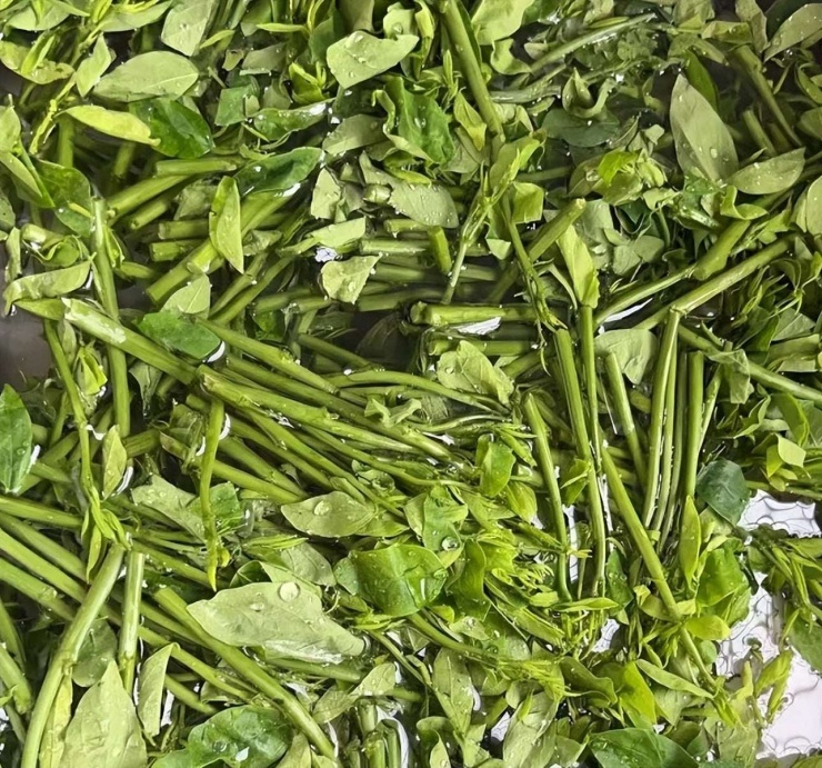 Loại rau dân dã, tươi ngon, giòn tan, ăn vào mùa đông giúp, giải độc gan, hỗ trợ giấc ngủ, bảo vệ mắt 7 Loại rau dân dã, tươi ngon, giòn tan, ăn vào mùa đông giúp, giải độc gan, hỗ trợ giấc ngủ, bảo vệ mắt - 6