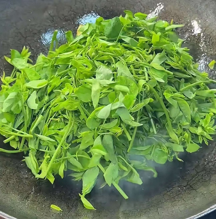 Loại rau dân dã, tươi ngon, giòn tan, ăn vào mùa đông giúp, giải độc gan, hỗ trợ giấc ngủ, bảo vệ mắt 10 Loại rau dân dã, tươi ngon, giòn tan, ăn vào mùa đông giúp, giải độc gan, hỗ trợ giấc ngủ, bảo vệ mắt - 9