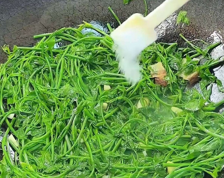 Loại rau dân dã, tươi ngon, giòn tan, ăn vào mùa đông giúp, giải độc gan, hỗ trợ giấc ngủ, bảo vệ mắt 12 Loại rau dân dã, tươi ngon, giòn tan, ăn vào mùa đông giúp, giải độc gan, hỗ trợ giấc ngủ, bảo vệ mắt - 11