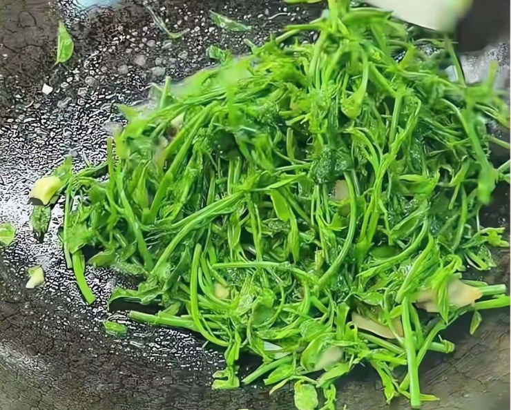 Loại rau dân dã, tươi ngon, giòn tan, ăn vào mùa đông giúp, giải độc gan, hỗ trợ giấc ngủ, bảo vệ mắt 13 Loại rau dân dã, tươi ngon, giòn tan, ăn vào mùa đông giúp, giải độc gan, hỗ trợ giấc ngủ, bảo vệ mắt - 12