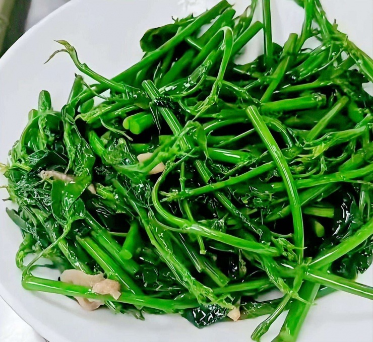 Loại rau dân dã, tươi ngon, giòn tan, ăn vào mùa đông giúp, giải độc gan, hỗ trợ giấc ngủ, bảo vệ mắt 15 Loại rau dân dã, tươi ngon, giòn tan, ăn vào mùa đông giúp, giải độc gan, hỗ trợ giấc ngủ, bảo vệ mắt - 14