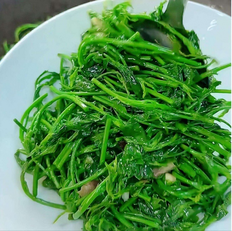 Loại rau dân dã, tươi ngon, giòn tan, ăn vào mùa đông giúp, giải độc gan, hỗ trợ giấc ngủ, bảo vệ mắt 14 Loại rau dân dã, tươi ngon, giòn tan, ăn vào mùa đông giúp, giải độc gan, hỗ trợ giấc ngủ, bảo vệ mắt - 13