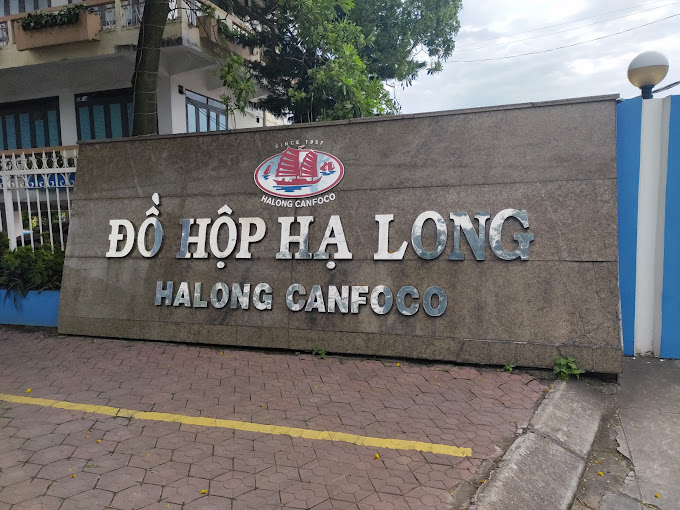 Chân dung Tổng giám đốc Đồ hộp Hạ Long vừa bị bắt  - Ảnh 3.