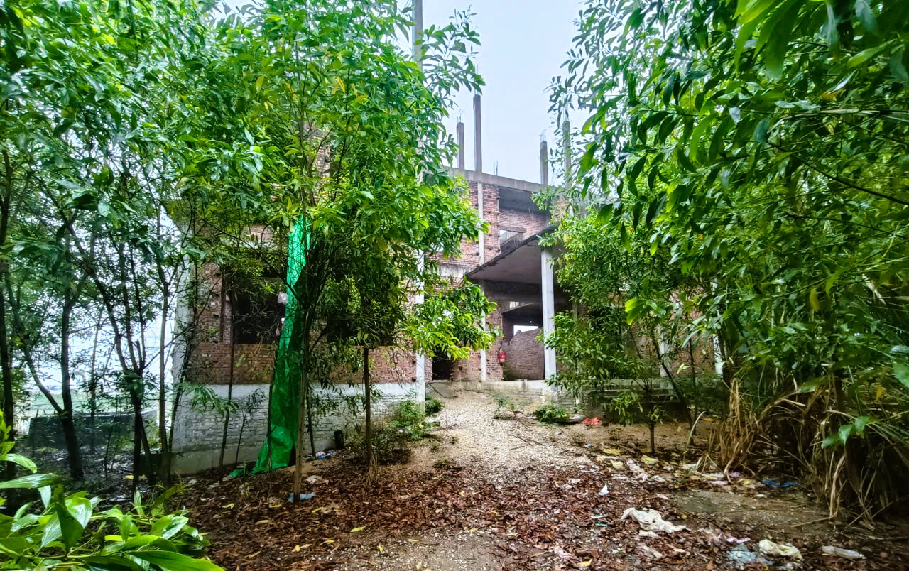 Dự án 250 tỉ đồng 