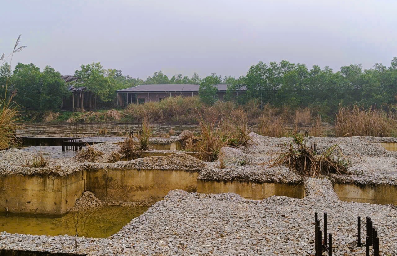 Dự án 250 tỉ đồng 