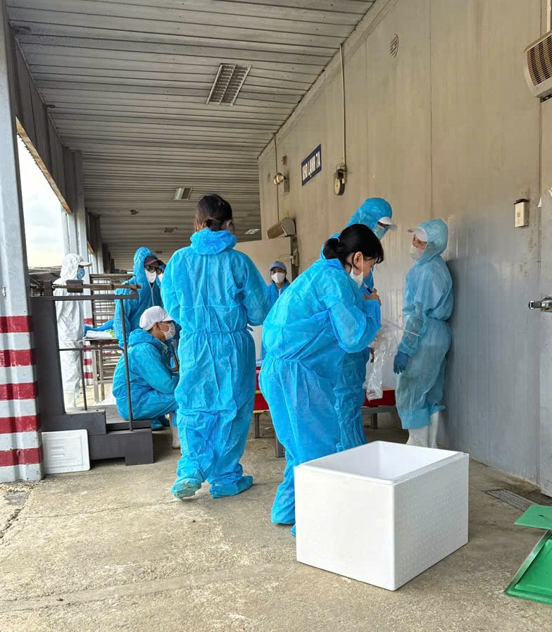 Hải Phòng siết chặt kiểm soát Sau vụ thịt nhiễm dịch tả heo tại Công ty CP đồ hộp Hạ Long - Ảnh 3.