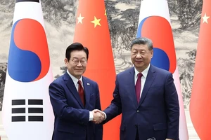 Chủ tịch Tập Cận Bình tiếp tổng thống Hàn Quốc, thảo luận bán đảo Triều Tiên