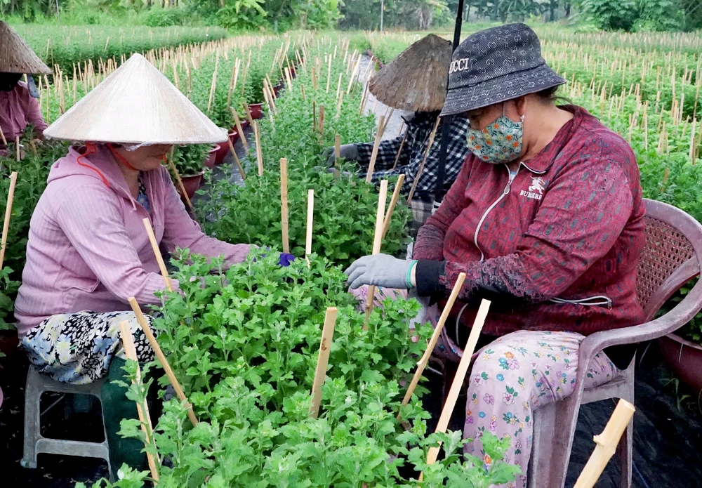 Chị Lan (bìa trái) chăm sóc hoa, trò chuyện với nhân công. Ảnh: HẢI NHI nhà vườn (2).jpg