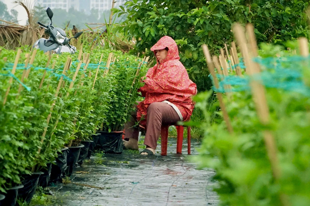 nhà vườn (11).jpg