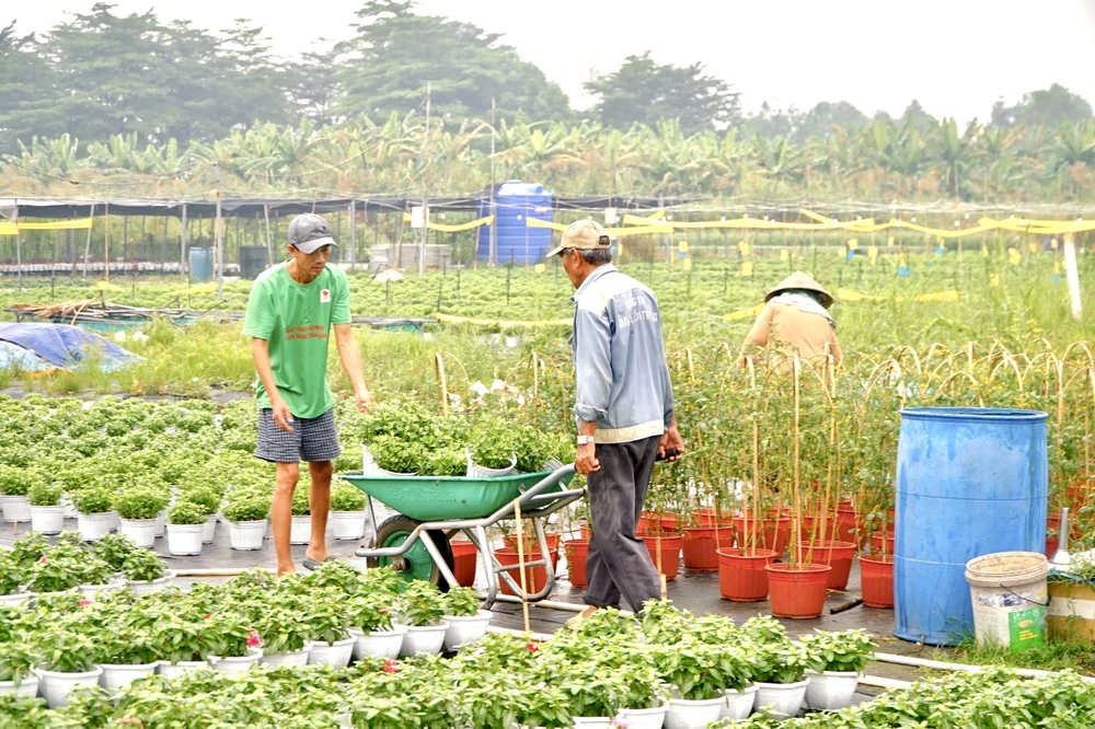 nhà vườn (24).jpg