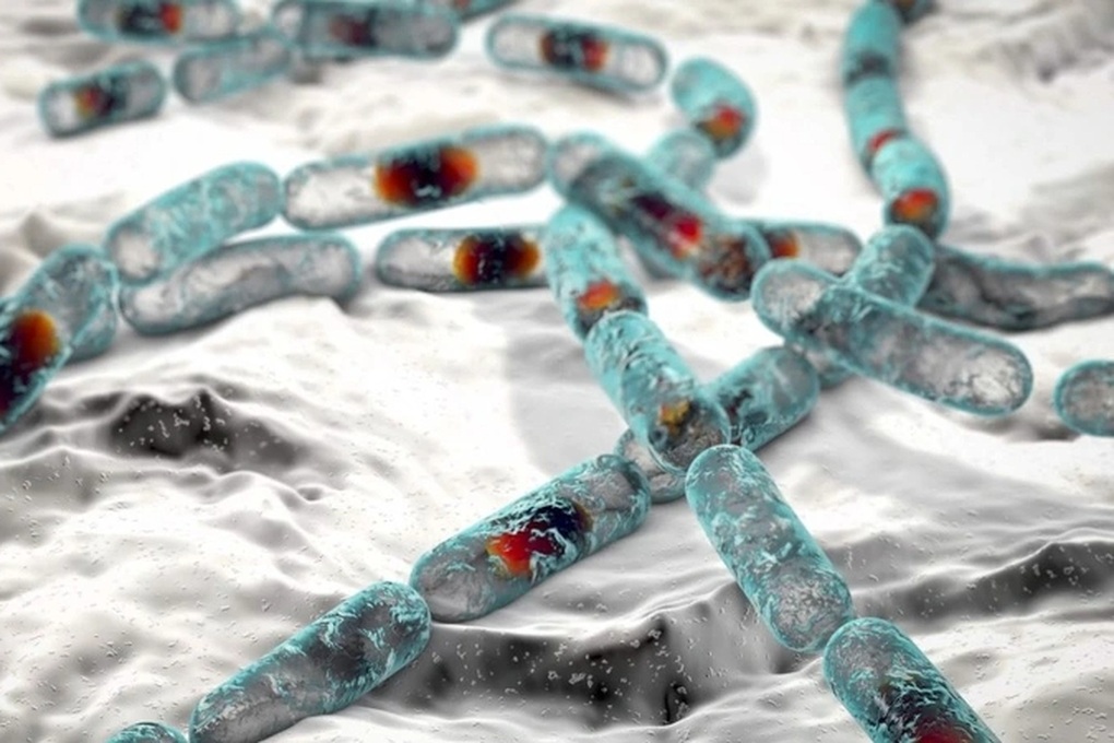 Tiết lộ môi trường ưa thích của cereulide - độc tố khiến Nestlé thu hồi sữa - 2