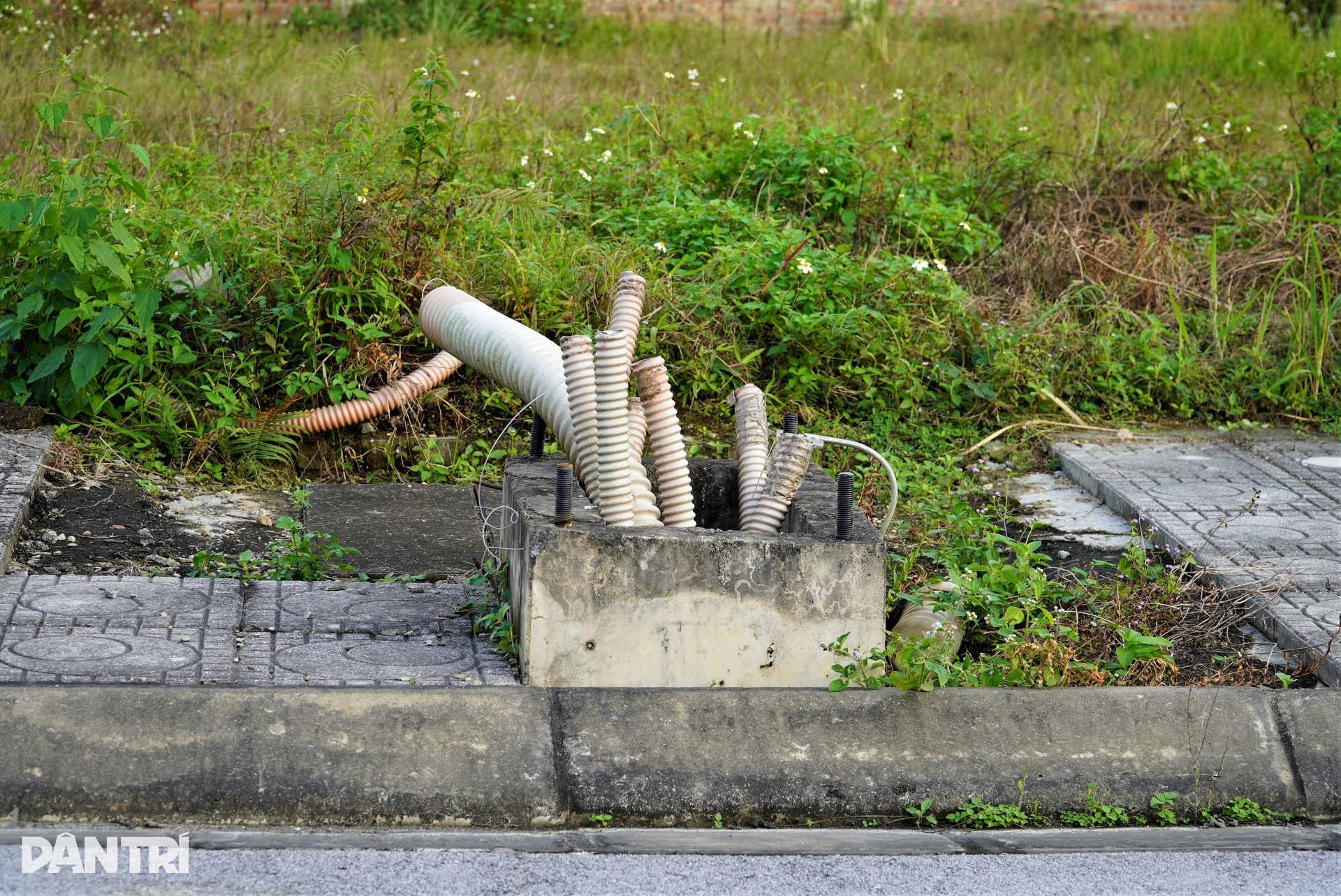 Khu đô thị 800 tỷ đồng giữa đất vàng rơi vào cảnh khó tin - 9