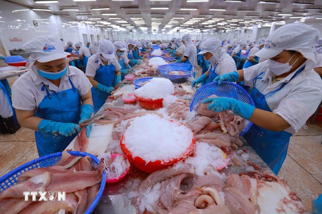 Chuyên gia Hàn Quốc kỳ vọng Đại hội XIV sẽ xác lập tầm nhìn phát triển mới - Ảnh 2.