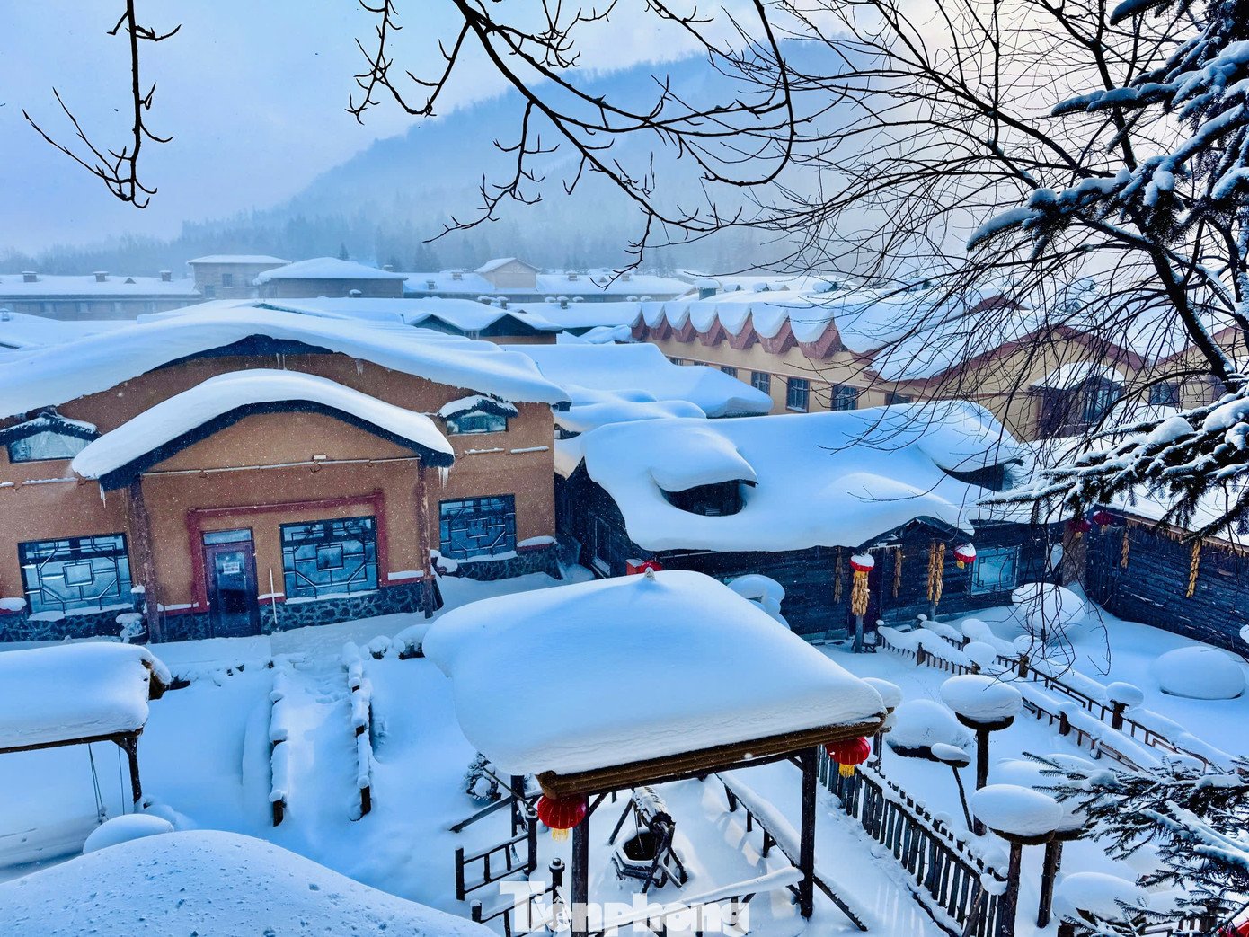 Vỡ òa cảnh siêu thực ngôi làng ở Hắc Long Giang, khách đến chỉ biết trầm trồ - 4