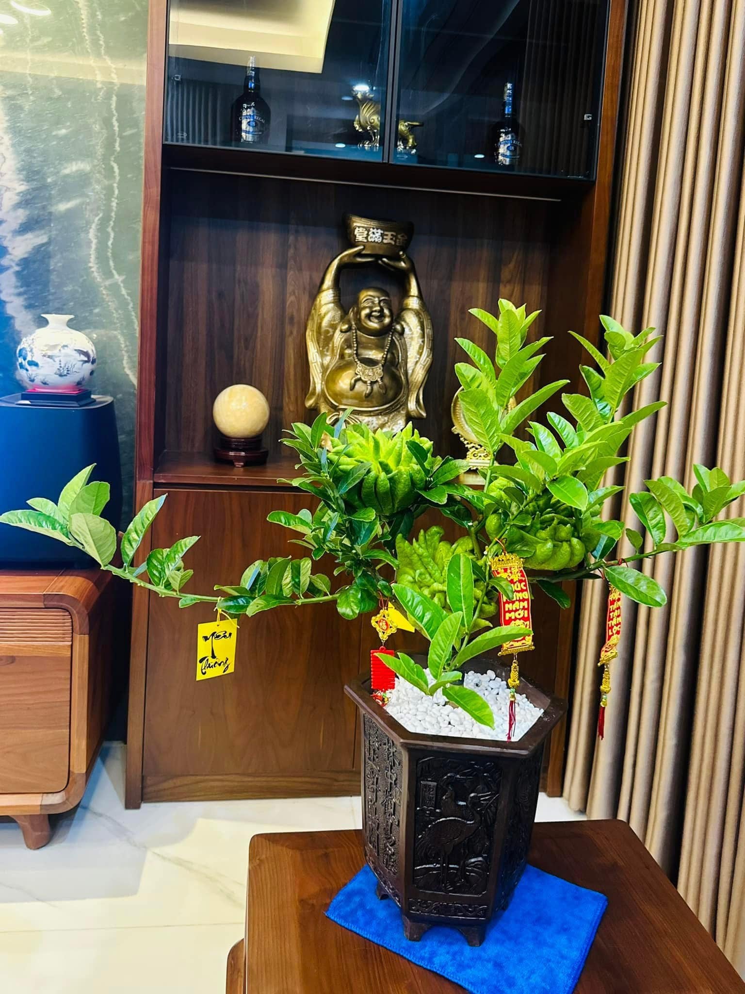 Nhà trồng 3 loại cây này chẳng khác rước 