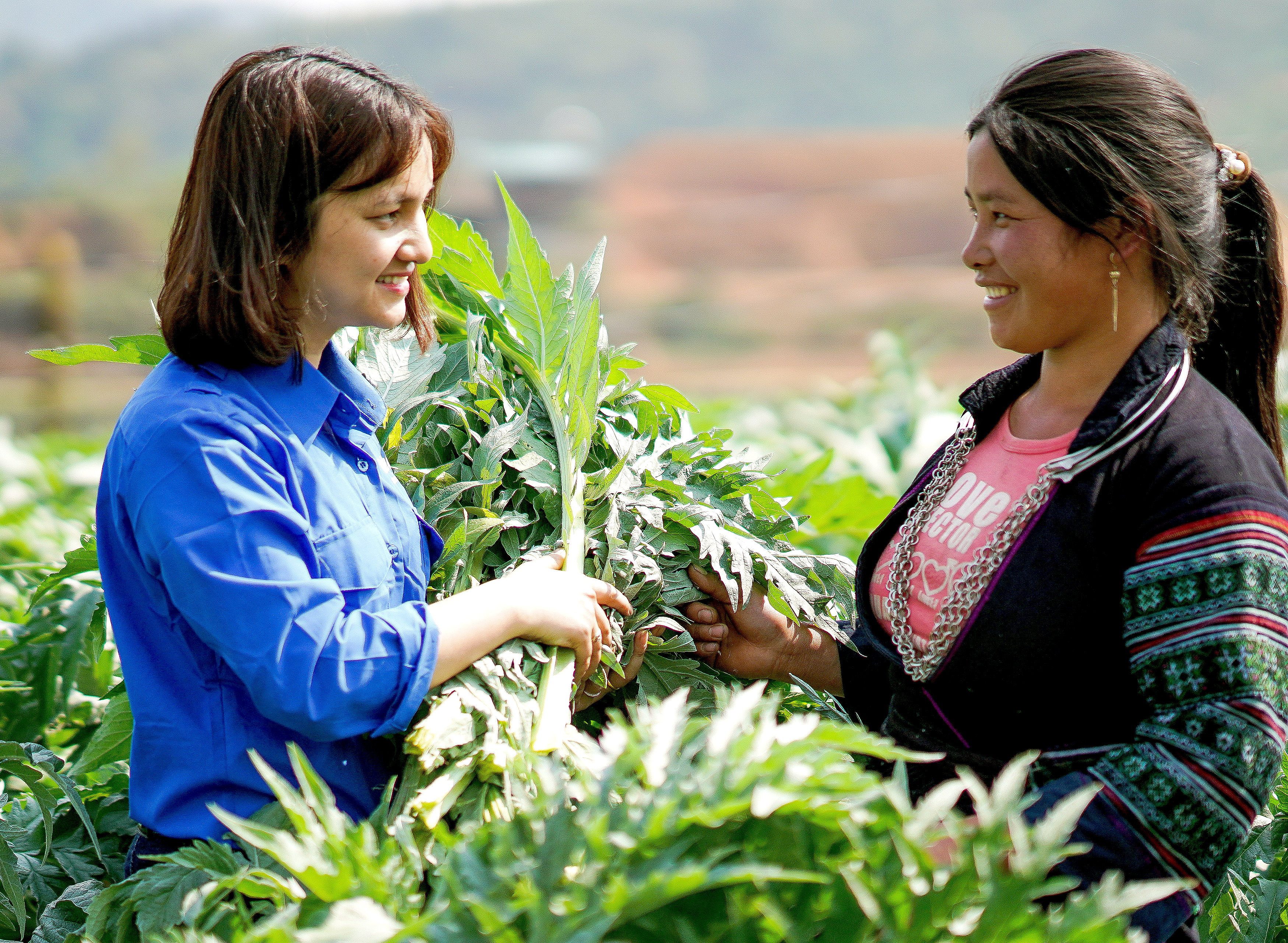 Ứng dụng trí tuệ nhân tạo trong kiểm soát chất lượng dược liệu - Ảnh 2.