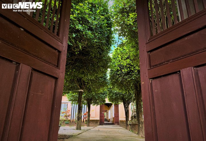 Vẻ đẹp chùa Thập Tháp, cổ tự gần 350 năm trên nền kinh đô Đồ Bàn xưa 15 Vẻ đẹp chùa Thập Tháp, cổ tự gần 350 năm trên nền kinh đô Đồ Bàn xưa - 14