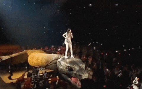 Hàng trăm người yêu cầu Sở Văn hoá - Du lịch dừng concert 