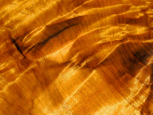 Thương gia mang hơn 900 tỷ đồng hỏi mua 3 cây gỗ trong vườn, lão nông dân đưa ra quyết định gây tranh cãi- Ảnh 3.