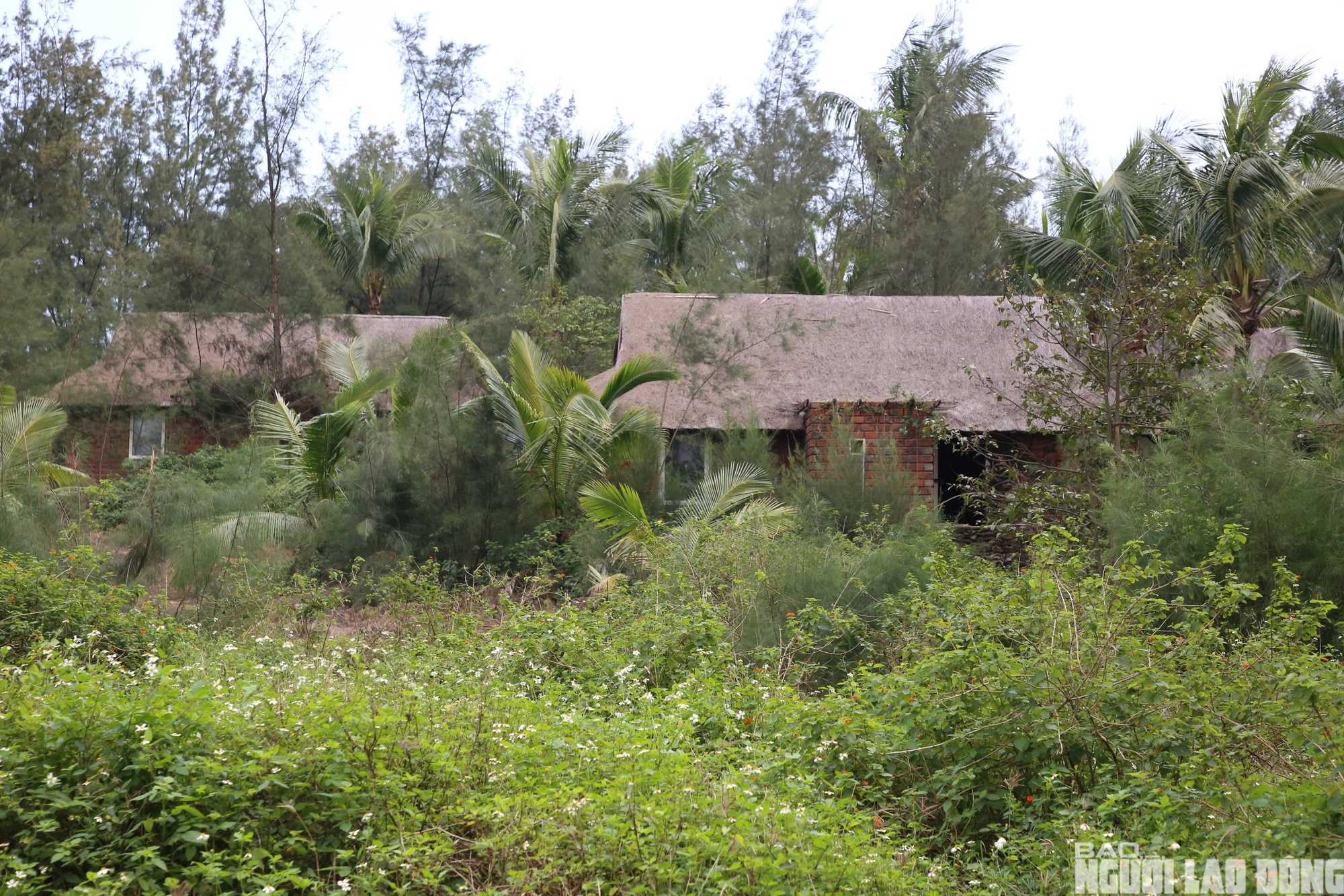 Hai khách sạn bỏ hoang tại Đồng Hới gây lo ngại về đầu tư Du lịch - Ảnh 5.