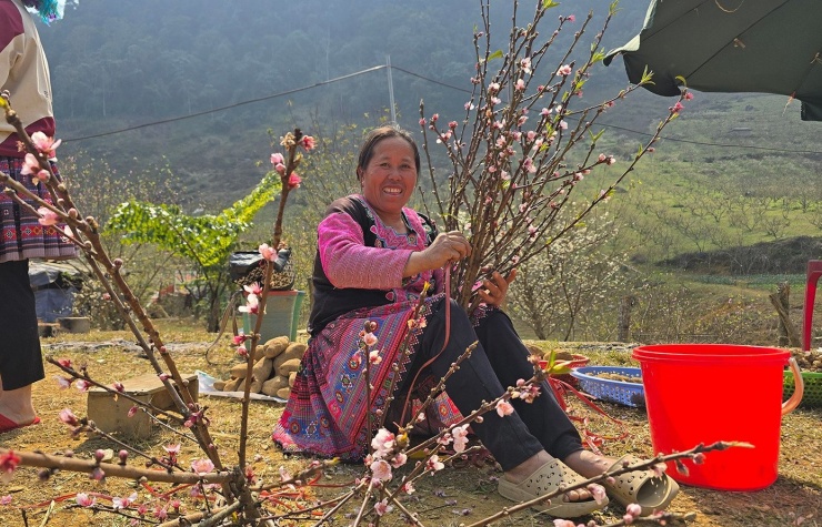 Đào, mận Mộc Châu hút khách chơi Tết sớm - 9