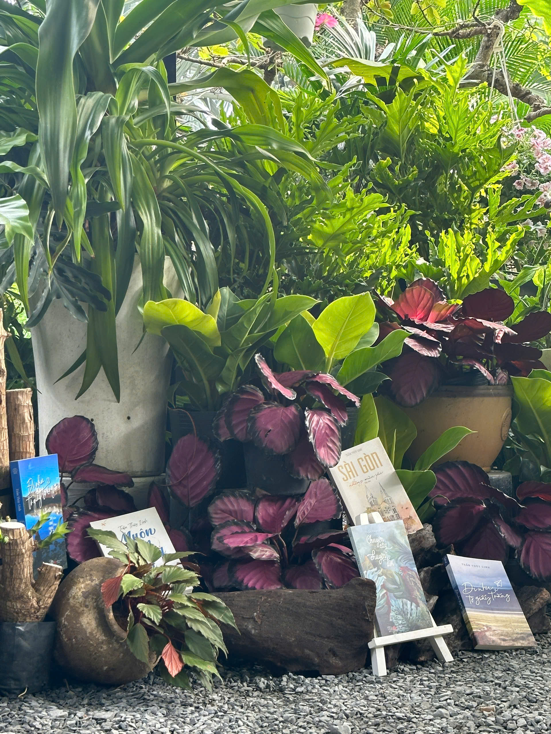 Một không gian xanh mướt hiếm có ở đô thị trong sách của Trần Thùy Linh - Ảnh 5.