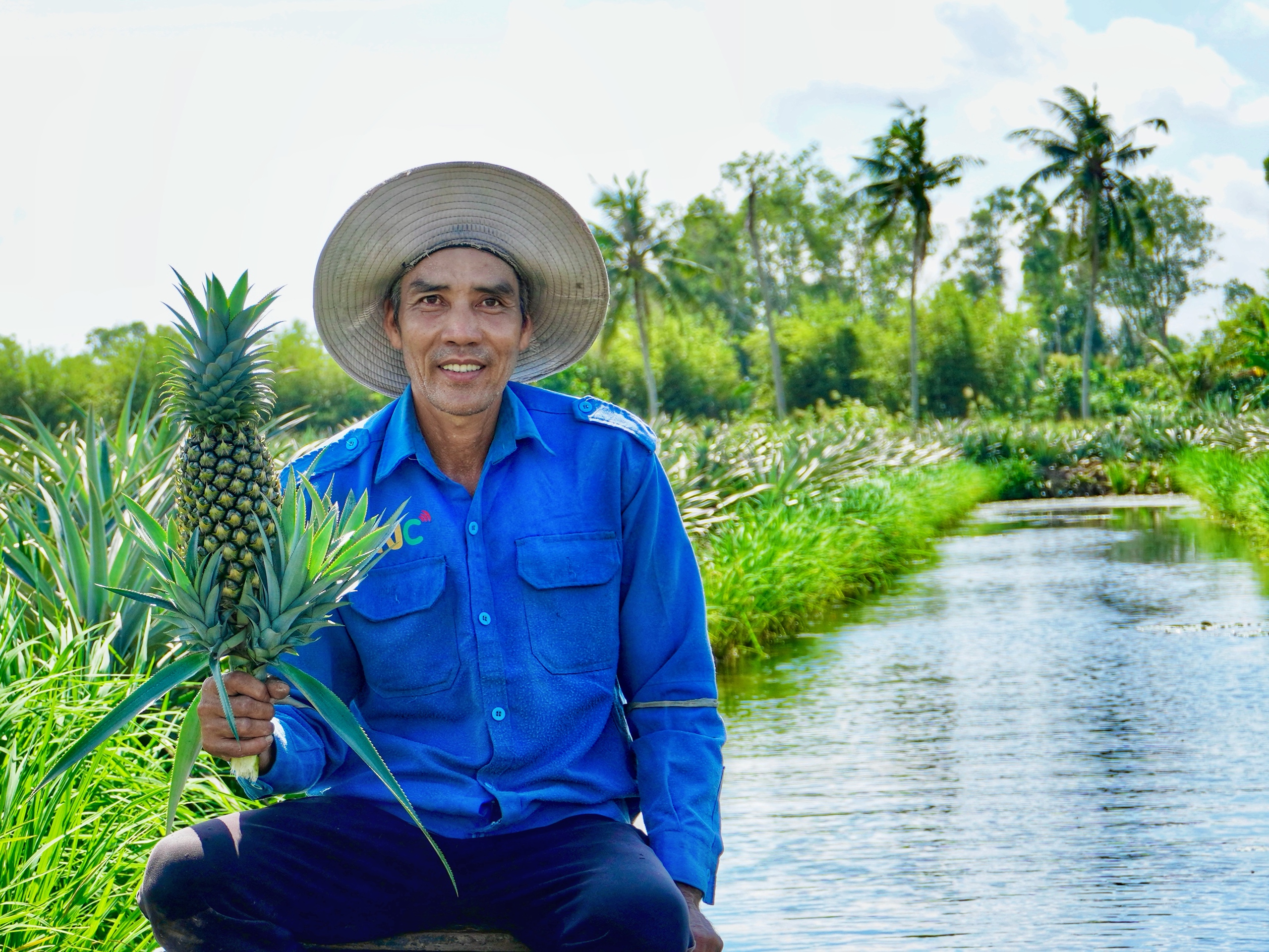 Cận Tết, giá khóm tăng vì nguồn cung thấp - Ảnh 3.