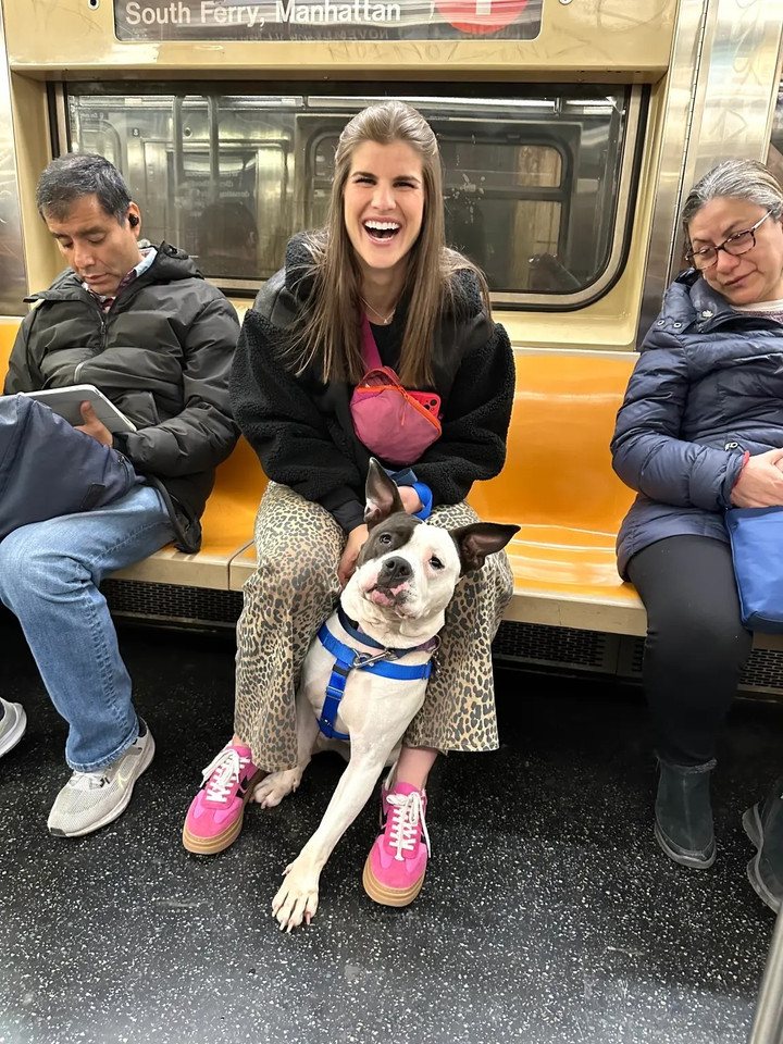 Chán ngấy hẹn hò online, nhiều phụ nữ 'thà dắt chó đi dạo còn hơn yêu đương'- Ảnh 3.