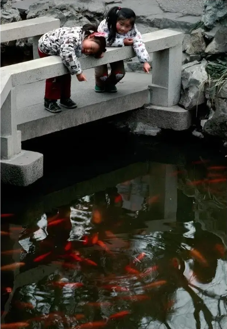 Ảnh cũ Thượng Hải thập niên 1980: Phương tiện này thống trị đường phố, có nơi 40 năm chưa hề khác- Ảnh 20.