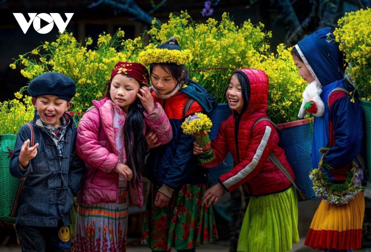 Những đứa trẻ với đôi má ửng hồng vì nẻ lạnh, khoác lên mình những bộ váy áo sặc sỡ như những cánh bướm mùa xuân. Chúng gùi sau lưng không phải là gánh nặng mưu sinh, mà là những gùi hoa cải vàng rực, hoa tam giác mạch li ti. Tiếng cười của trẻ nhỏ làm tan chảy cái lạnh cắt da cắt thịt của vùng biên viễn.