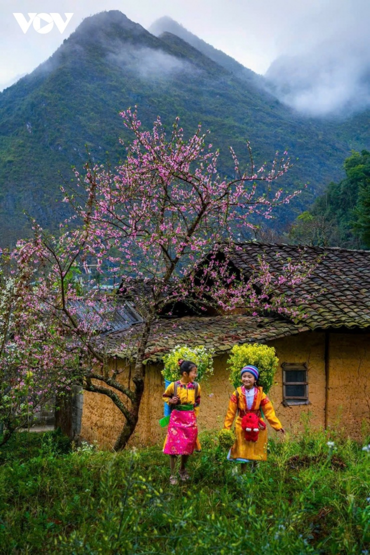 Nổi bật trên nền xanh xám của núi đá, hai đứa trẻ như đang dạo chơi trong khu vườn cổ tích của chính mình.