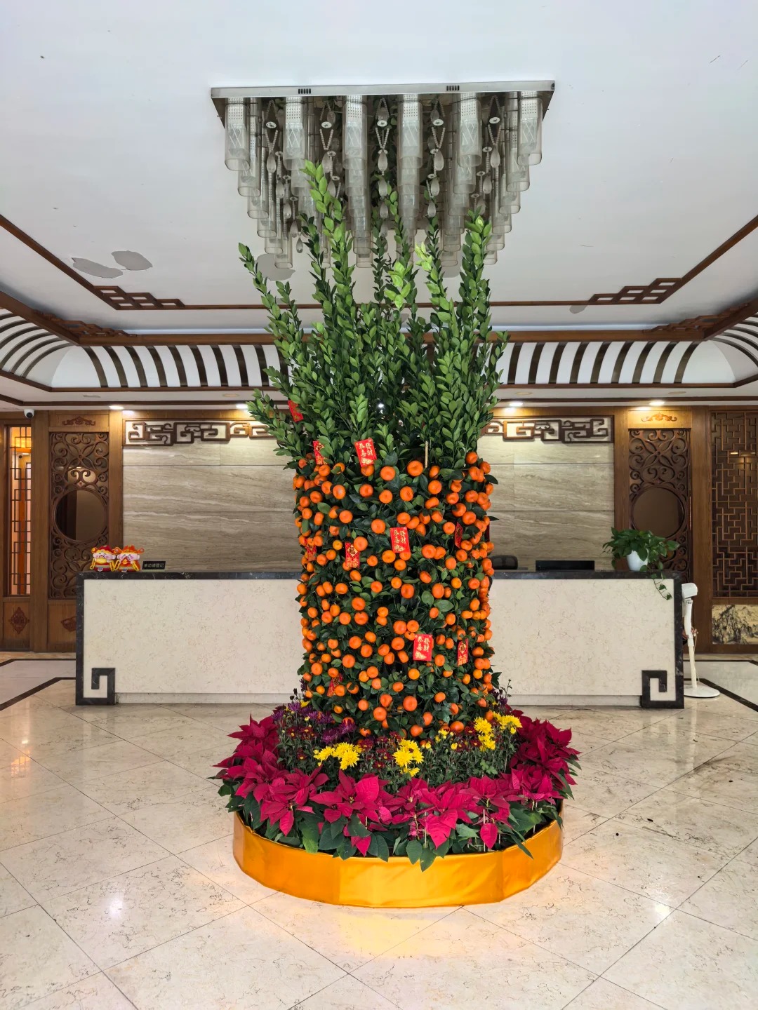 Nhà giàu chưng Tết không chọn chậu nhỏ, vì sao 