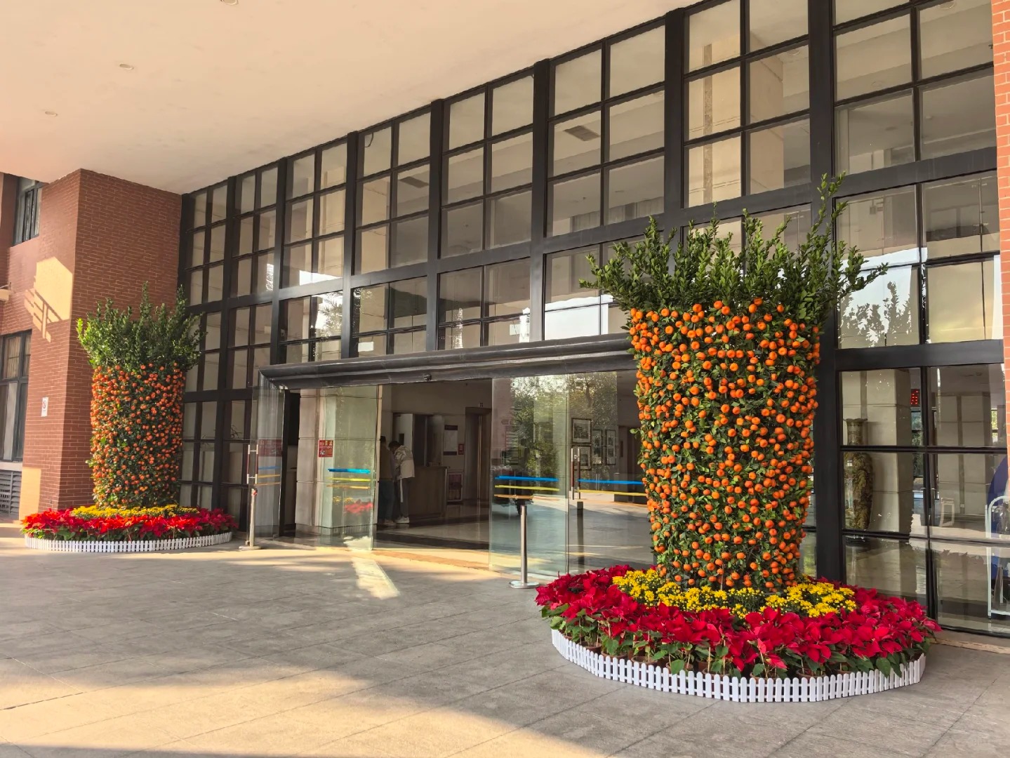 Nhà giàu chưng Tết không chọn chậu nhỏ, vì sao 