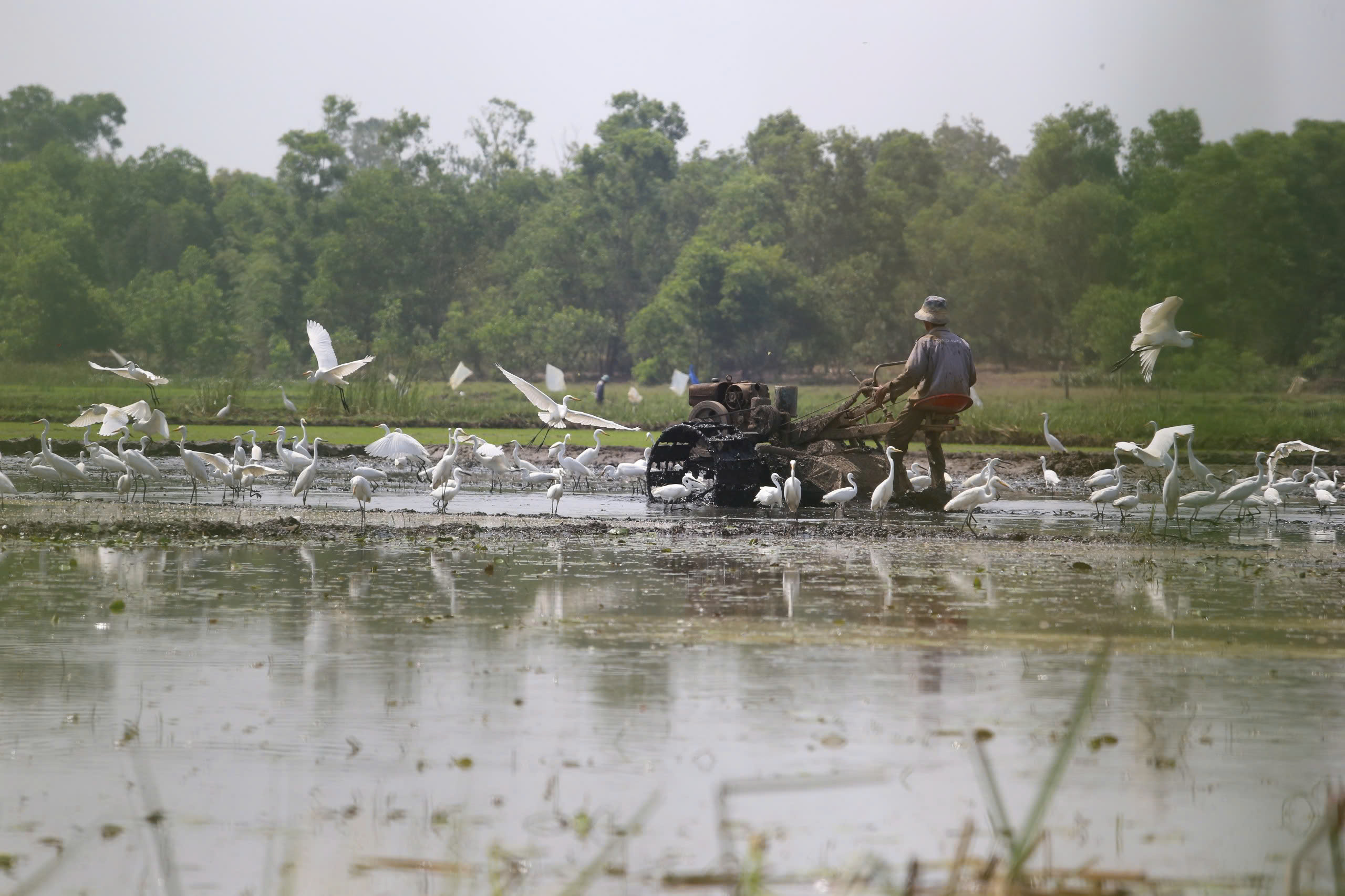 Yên ả sông Đầm - Ảnh 3.