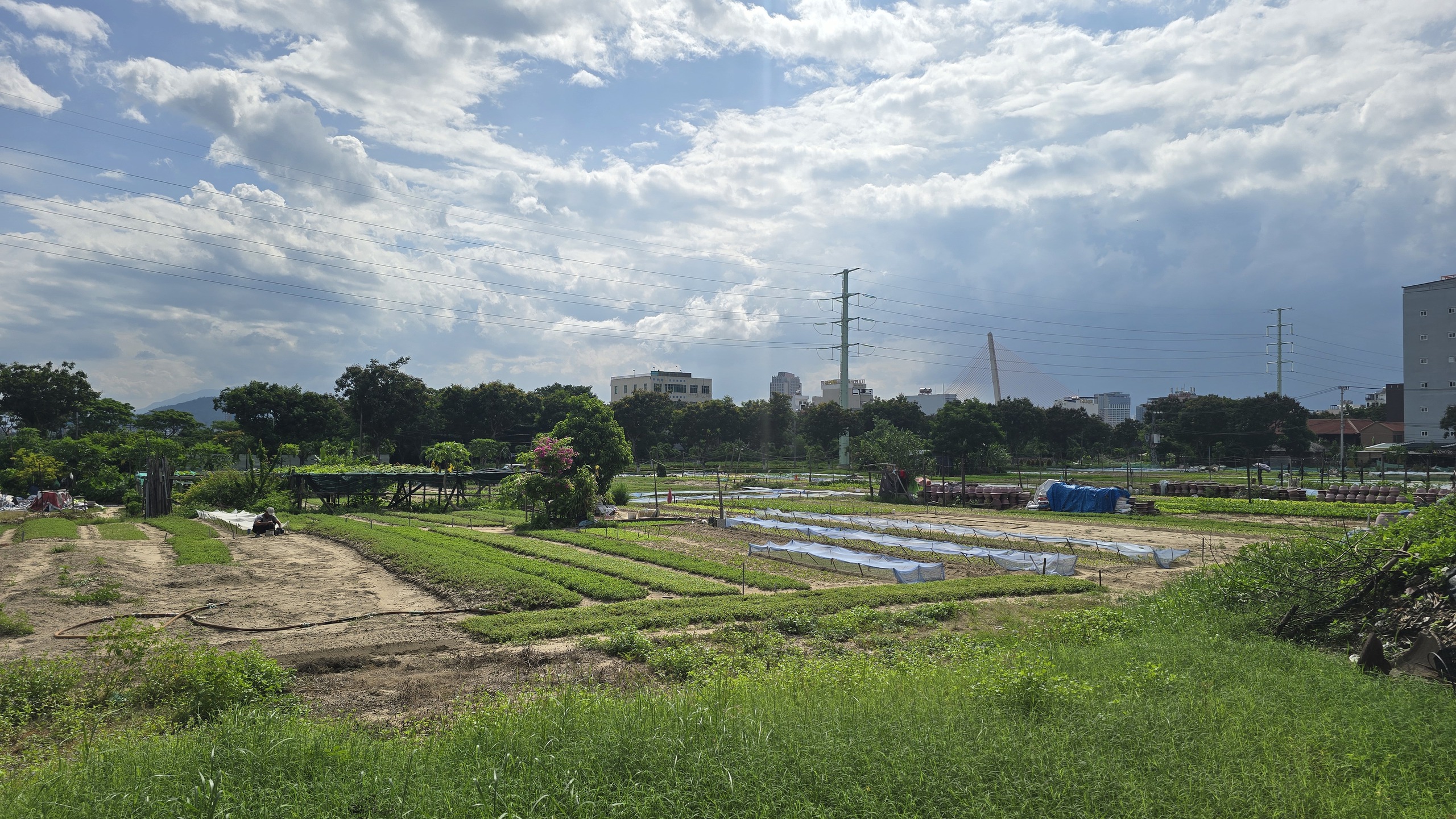 Cận cảnh vị trí vàng Đà Nẵng chọn xây Tổ hợp Lễ hội pháo hoa gần 11.000 tỉ đồng - Ảnh 4.