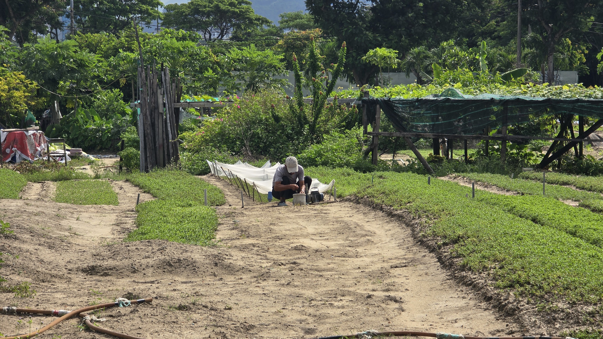 Cận cảnh vị trí vàng Đà Nẵng chọn xây Tổ hợp Lễ hội pháo hoa gần 11.000 tỉ đồng - Ảnh 5.