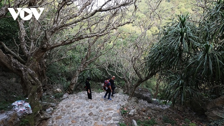 Sau khi vãng cảnh chùa, du khách men theo con đường nhỏ sát vách núi để lên động Tuyết Sơn. Dọc đường đi là những thảm lan rừng “bò” từ dưới đất lên vách đá.