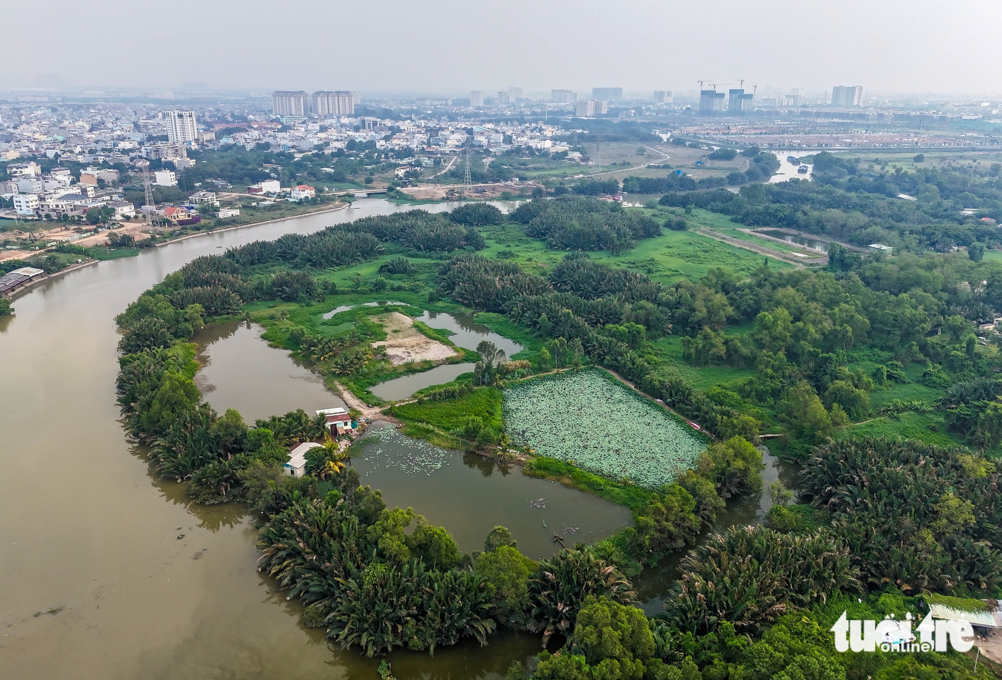 Từ lau sậy đến đại công trình: Khu liên hợp thể dục thể thao Rạch Chiếc trước ngày động thổ 3 Rạch Chiếc - Ảnh 4.