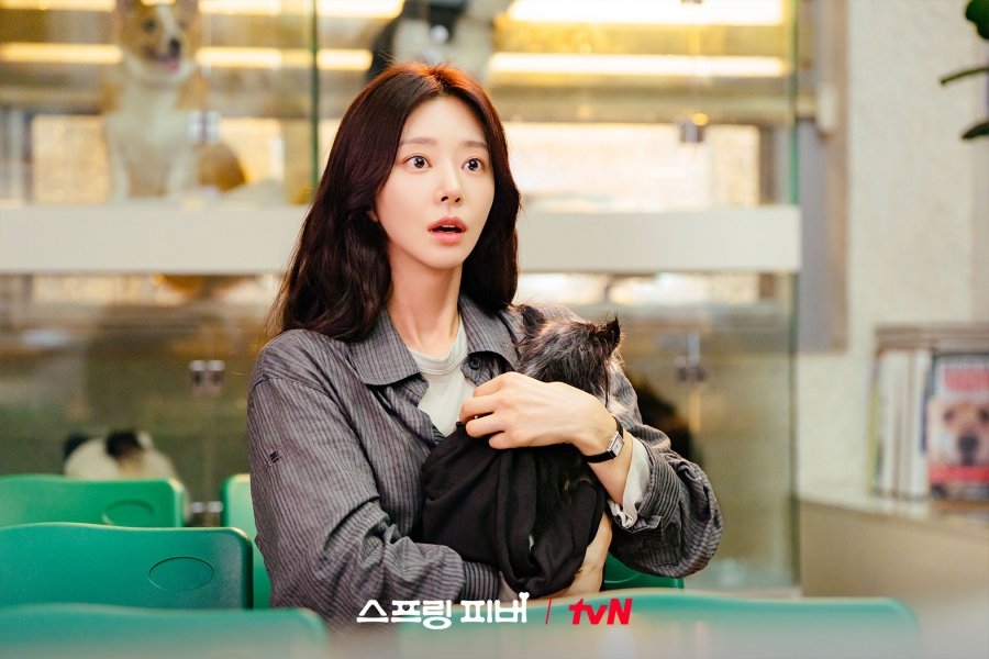 Lần đầu thấy cặp đôi ngôn tình mà mặt nhà gái chỉ bằng bắp tay nhà trai, đúng là truyện tranh không lừa người- Ảnh 6.