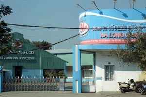 Vụ thịt heo bệnh ở Công ty đồ hộp Hạ Long: Yêu cầu Sở NN&MT Hải Phòng báo cáo cách xử lý