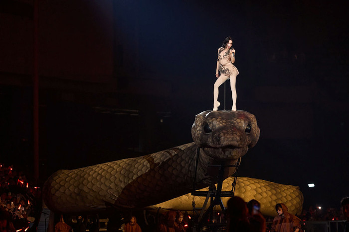 Mỹ nhân không tuổi lỗ nặng 263 tỷ đồng vì concert “trăn khổng lồ”, đối diện nguy cơ cấm sóng- Ảnh 3.