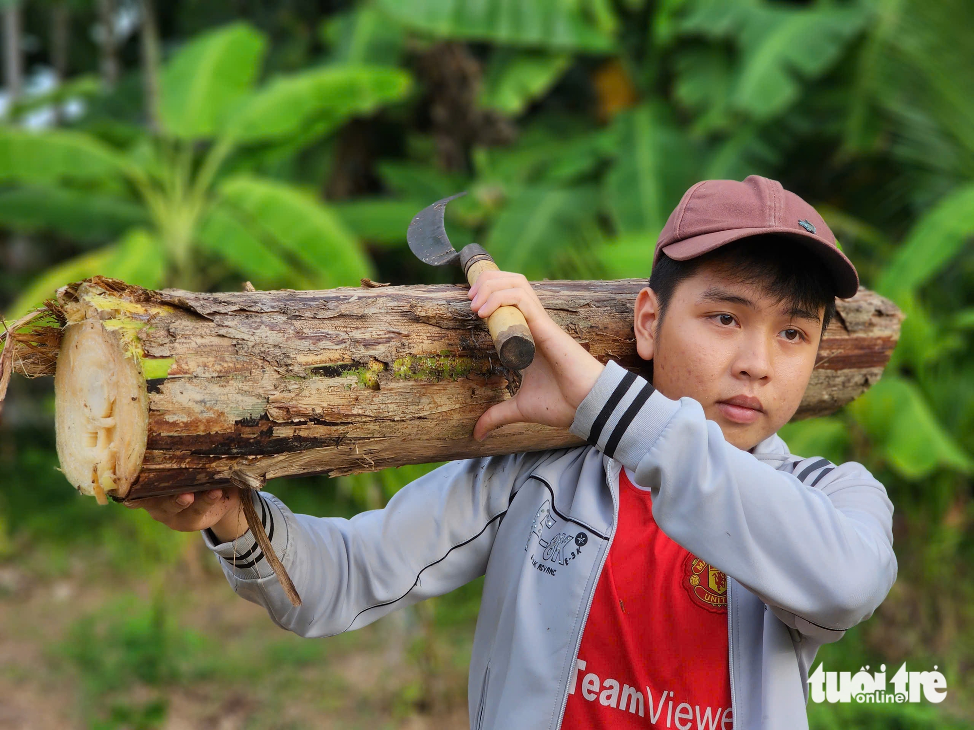 Nữ SV không còn tiền ăn bánh mì, nam SV làm thêm quần quật... được bạn đọc giúp thêm hàng chục triệu - Ảnh 3.