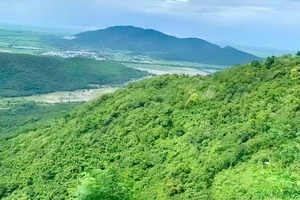 Soi tên phim 'Án mạng núi cấm' dưới góc nhìn pháp lý