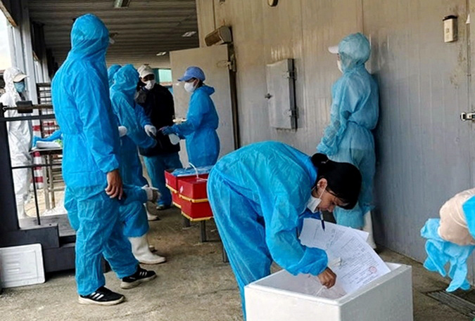 Công ty đồ hộp Hạ Long - Ảnh 1.