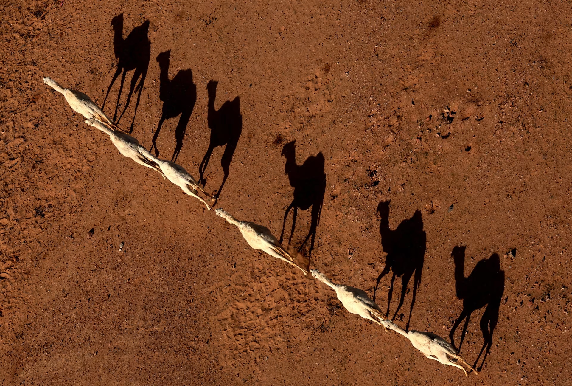 Tin tức thế giới 14-1: Iran dọa tử hình người biểu tình, ông Trump đe phản ứng rắn - Ảnh 8. Tin tức thế giới 14-1: - Ảnh 1.