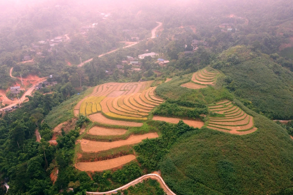 Vị trí dự kiến tái định cư cho đồng bào bản Mông ở Pù Đứa. Ảnh: ĐẶNG TRUNG A23.JPG