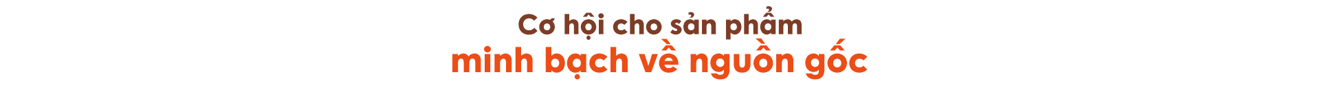 1768364662 720 Ziaja ghi dau an nho chien luoc gia tri that