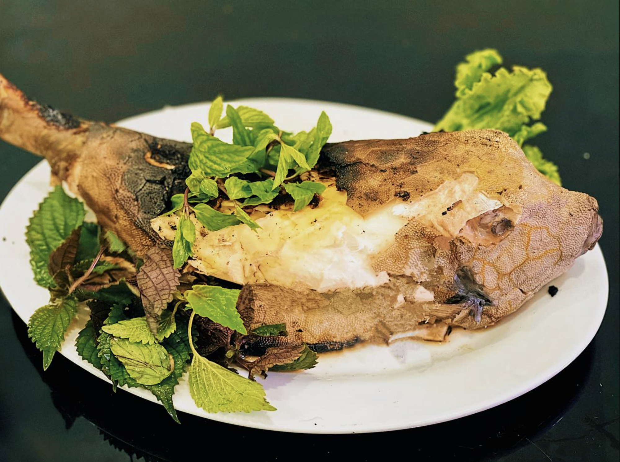 1768373030 242 Quai ngu co hinh hai dang so o vung bien